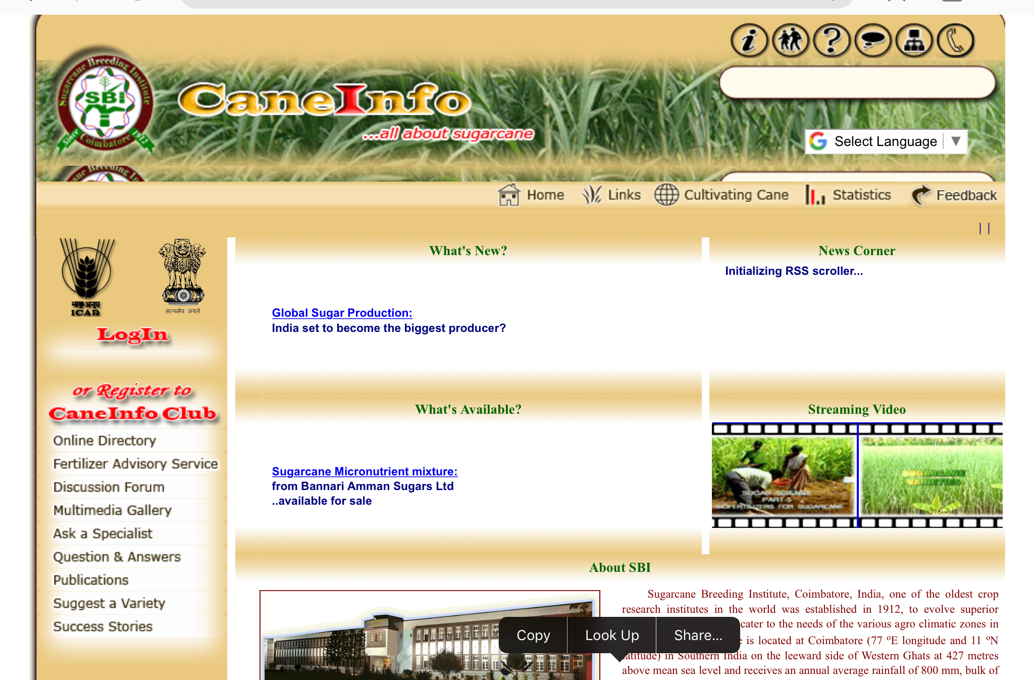 Cane info portal