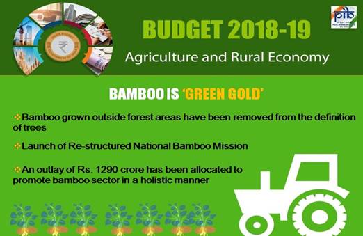 How bamboo is important to agro economy