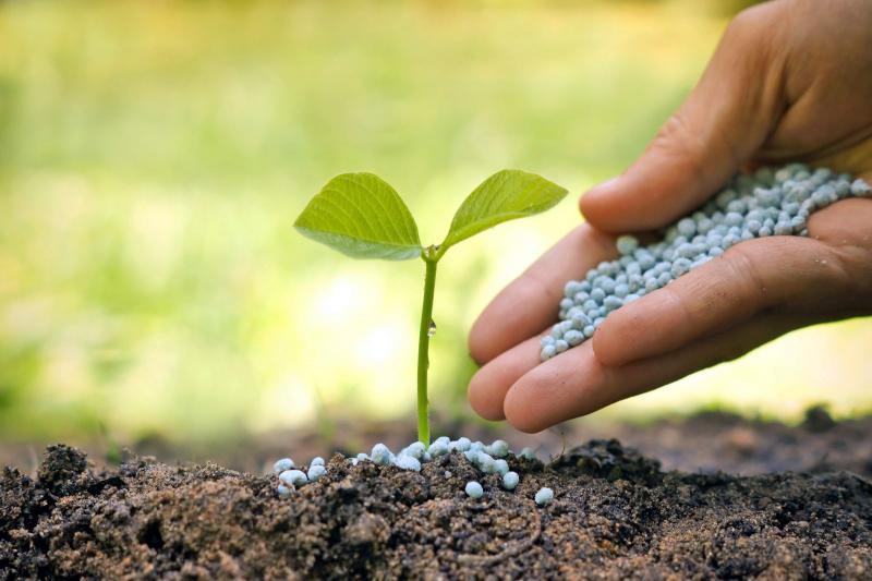 Basics of Biofertilizers