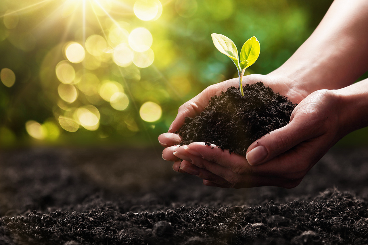 Understanding Soil amendments